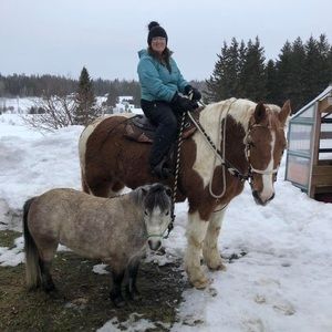 Meet your Posher, Debbie